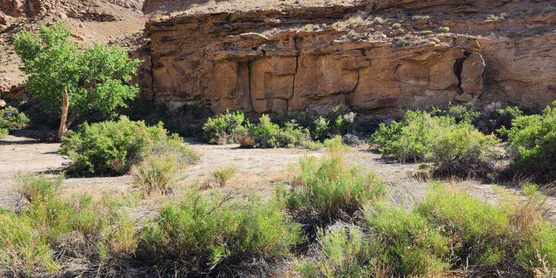 Camper submitted image from Woodside Lower Price River Road Dispersed