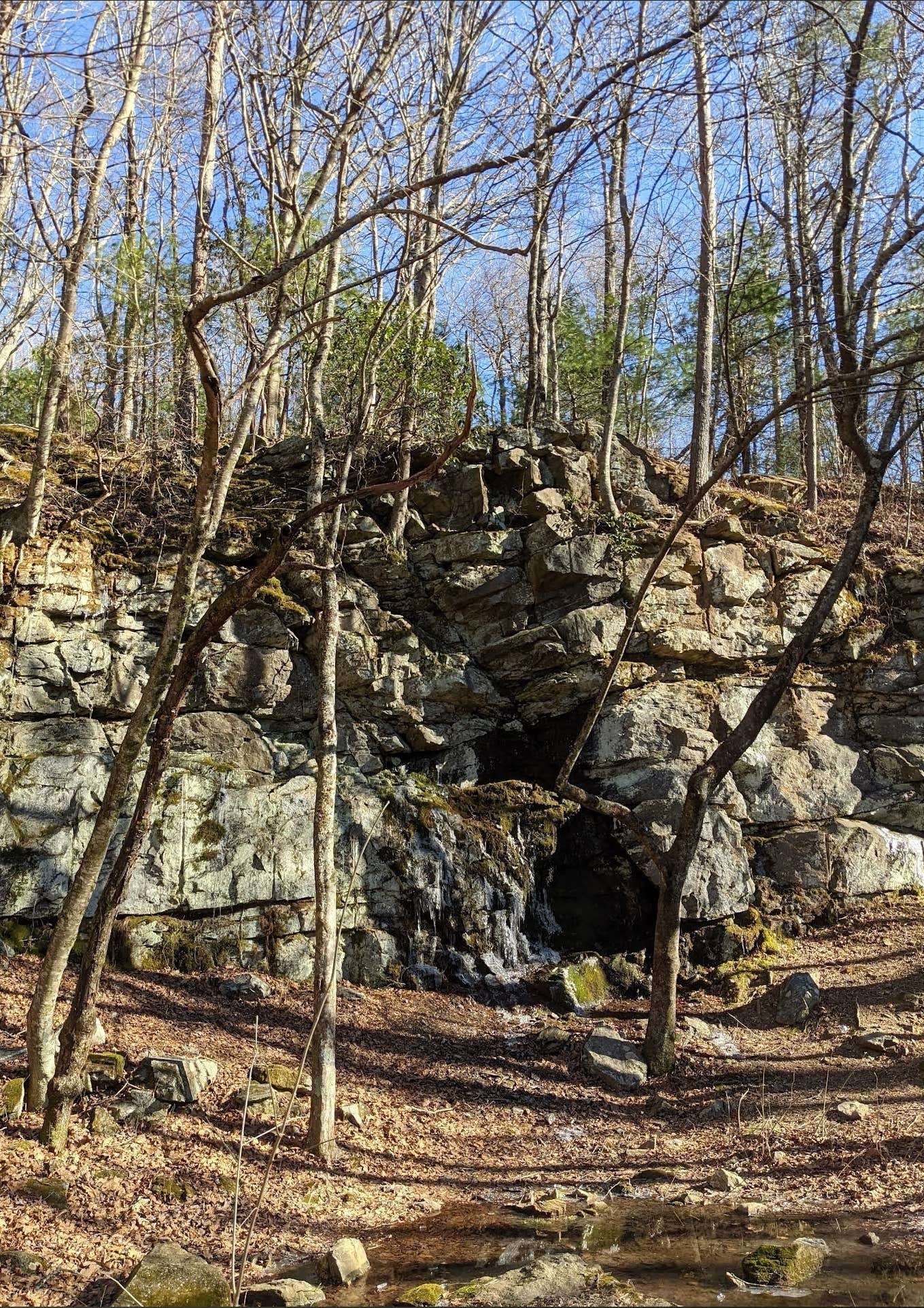 Camper-submitted photo at Woody Gap Campground - Appalachian Trail near Murrayville, GA