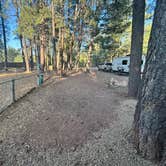 Review photo of Woody Mountain by Alexandria G., June 19, 2025