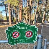 Review photo of Woody Mountain by Alexandria G., June 19, 2025