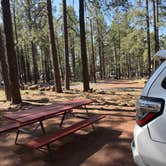 Review photo of Woody Mountain by Morgan R., July 25, 2026