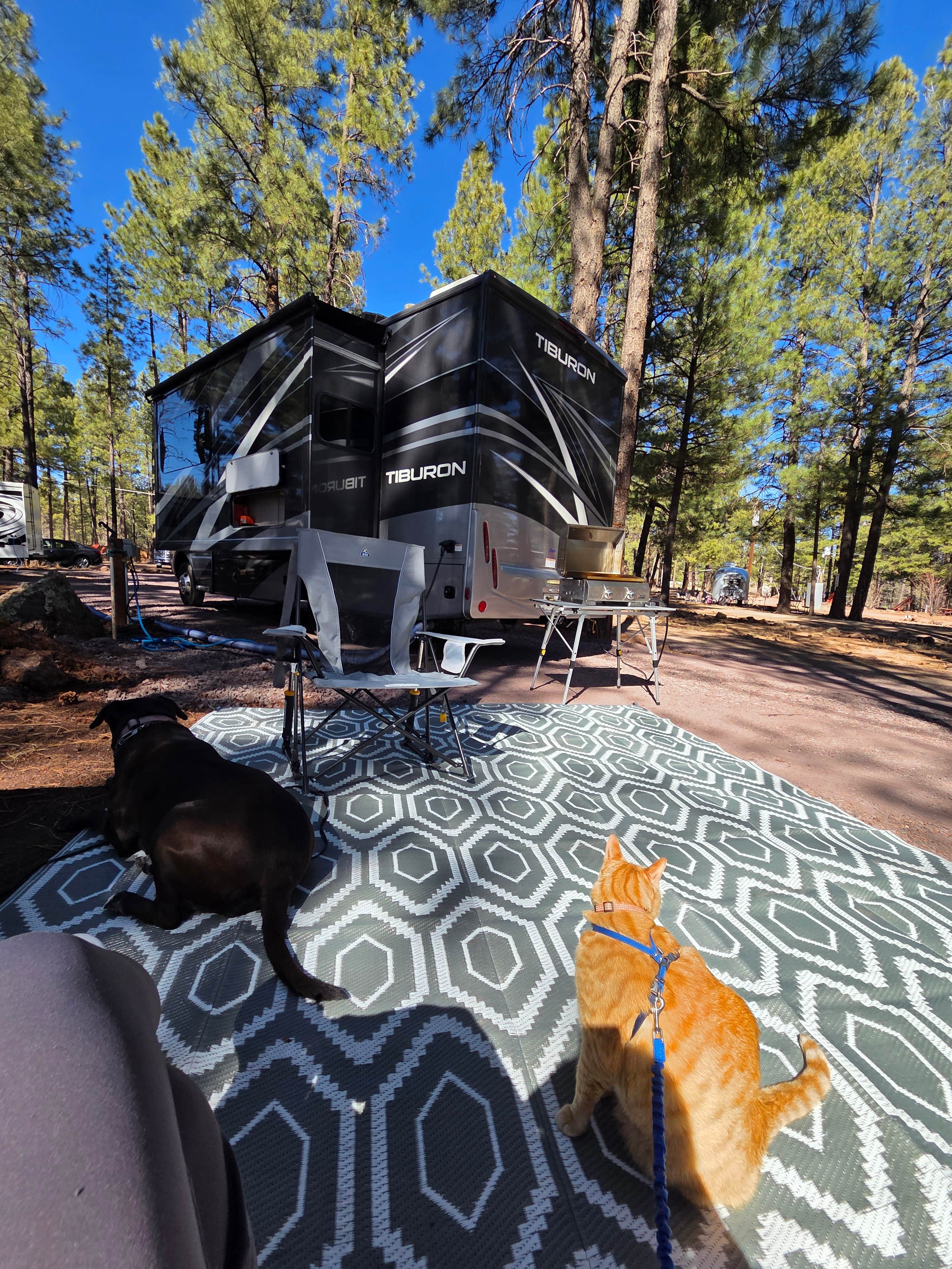 Camper-submitted photo at Woody Mountain near Cameron, AZ