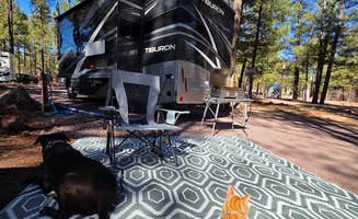 Snooz H.'s photo at Woody Mountain in Arizona