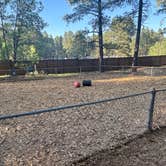 Review photo of Woody Mountain by Alexandria G., June 19, 2025