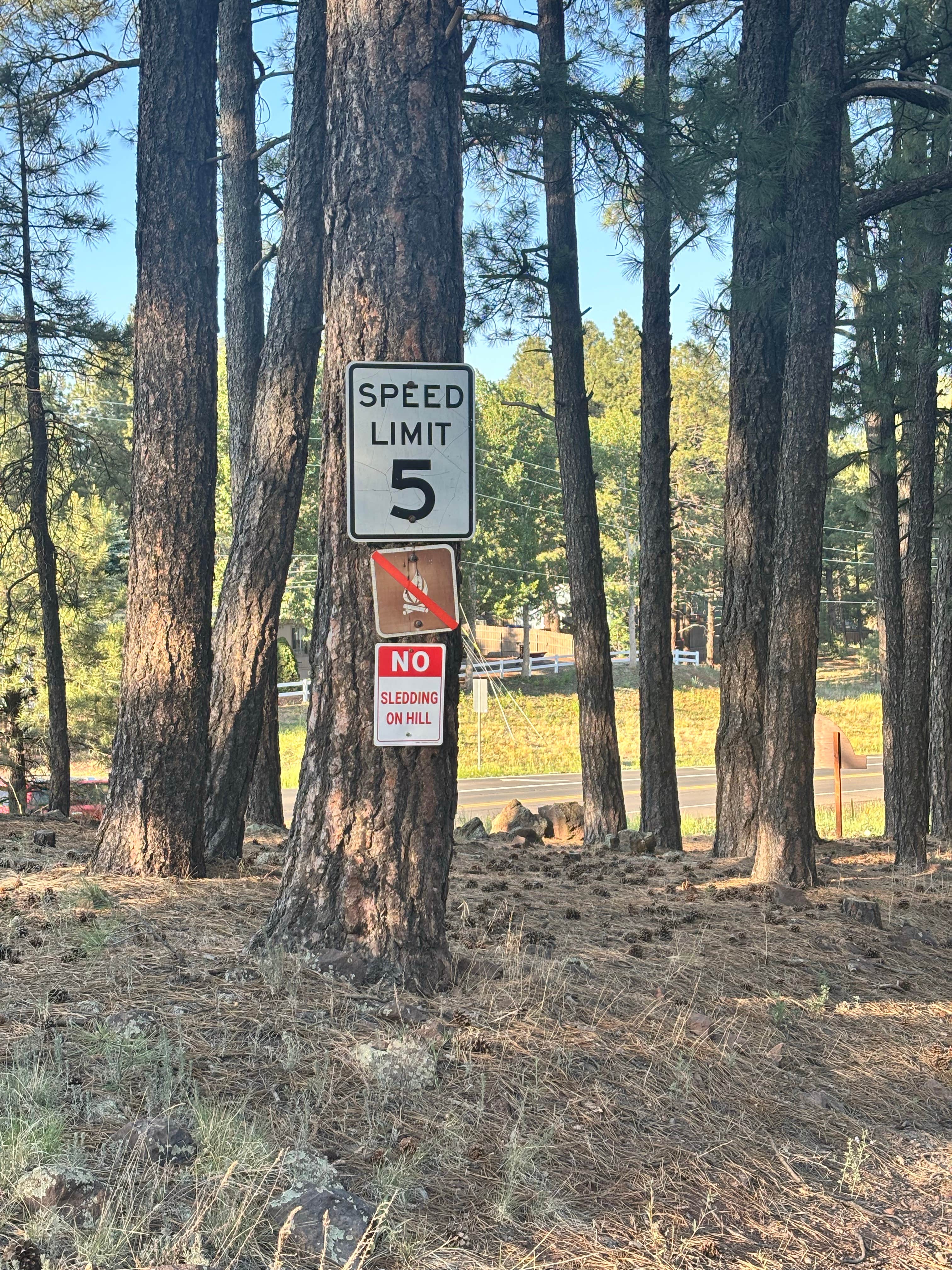 Camper-submitted photo at Woody Mountain near Cameron, AZ