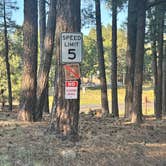Review photo of Woody Mountain by Alexandria G., June 19, 2025