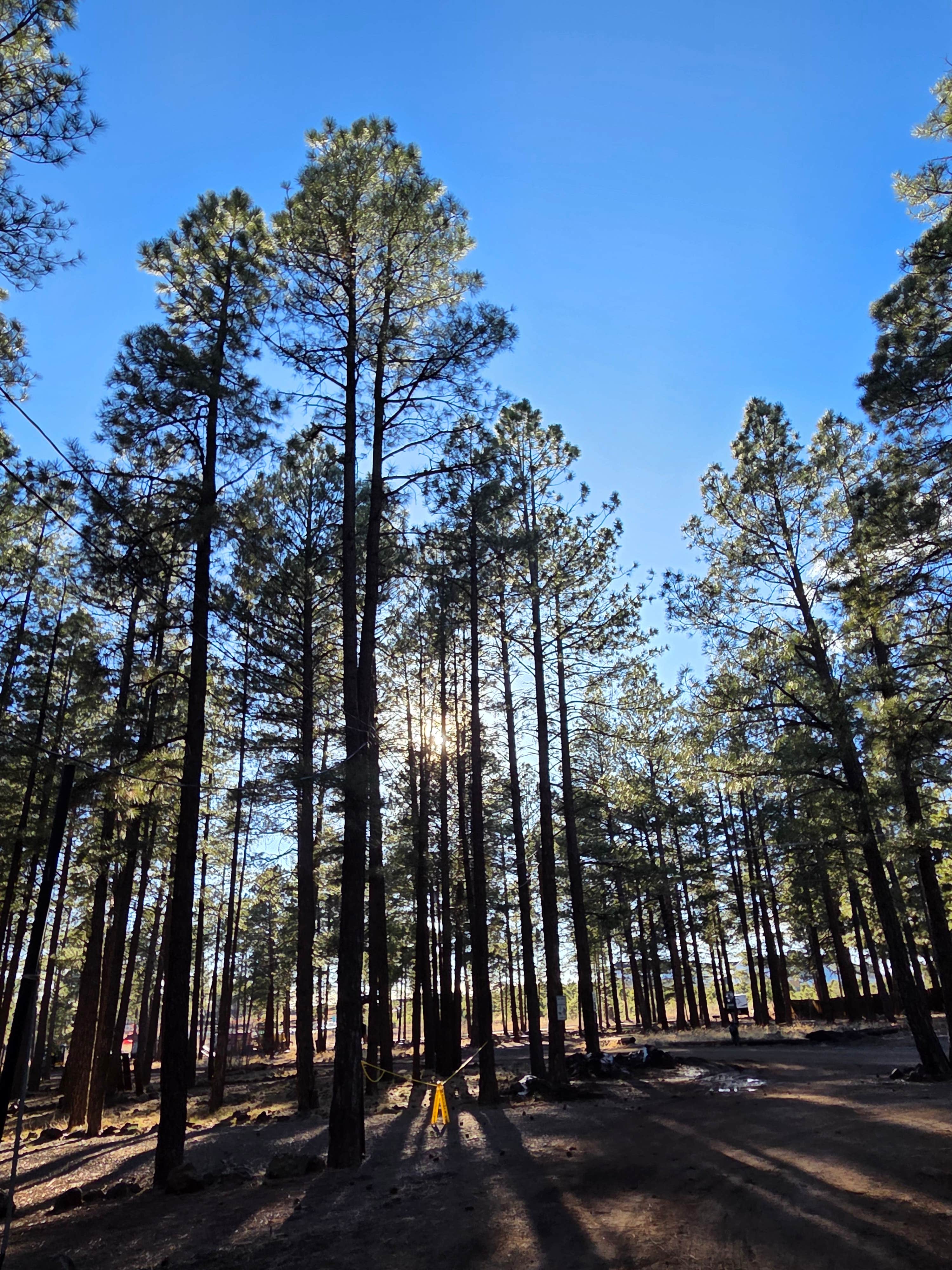 Camper-submitted photo at Woody Mountain near Cameron, AZ