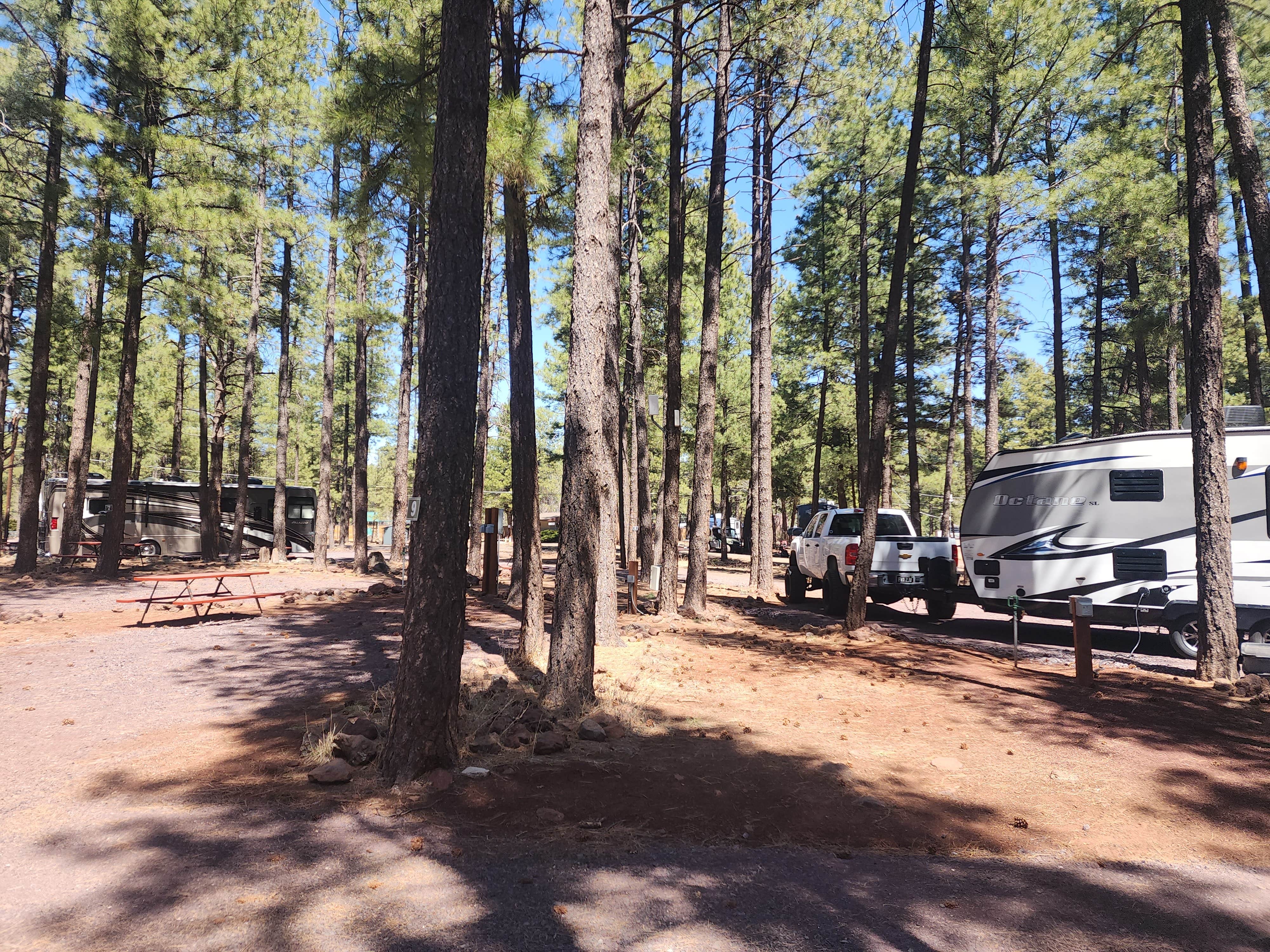 Amilyn W.'s photo of rv camping at Woody Mountain Campground & RV Park near Mormon Lake, AZ