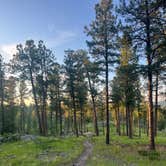 Review photo of Wrinkled Rock Trailhead by Grace B., July 10, 2024