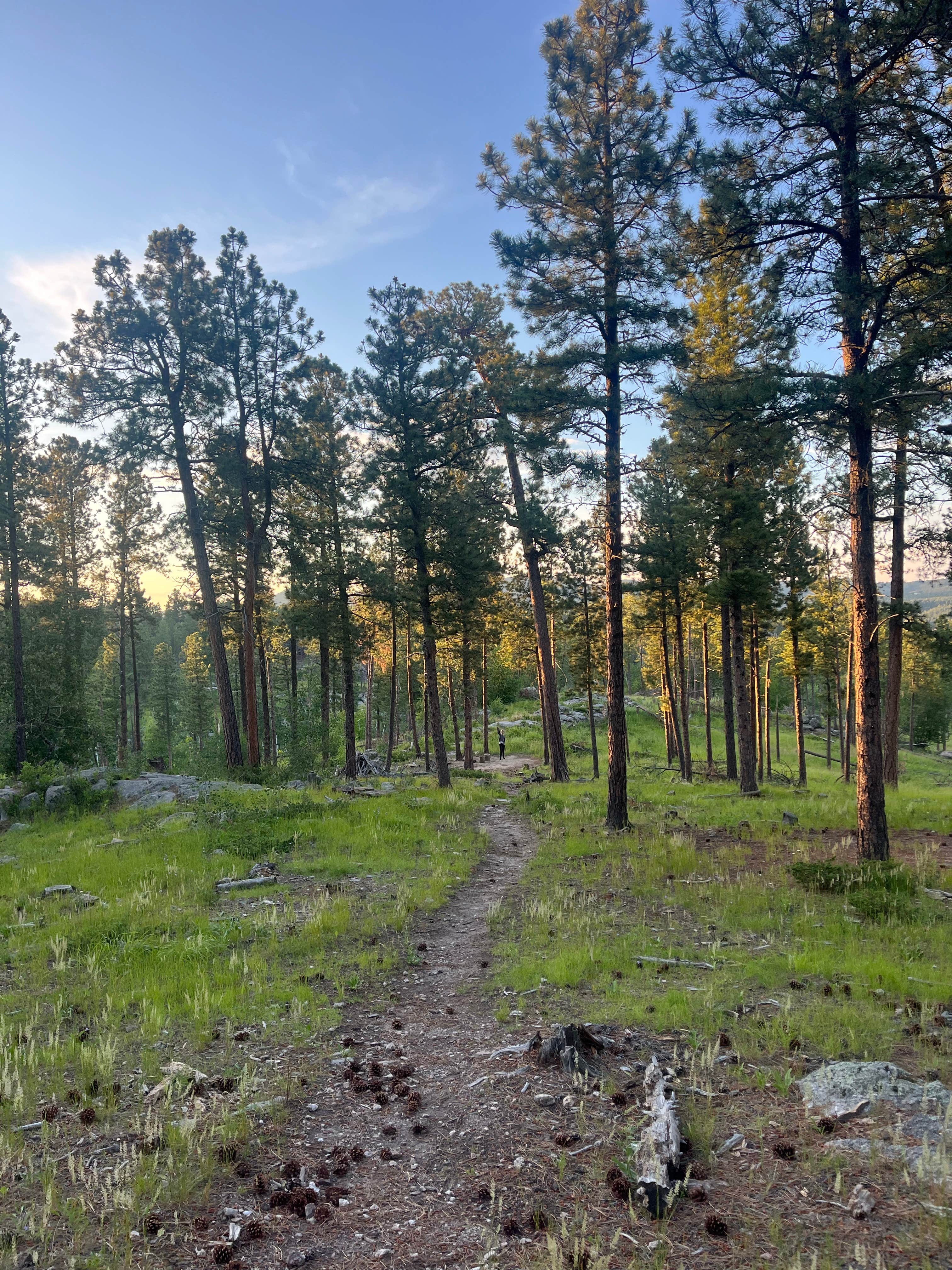 Camper submitted image from Wrinkled Rock Trailhead - 3