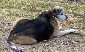Kay K.'s photo of camping with pets at Wisconsin Ridge Campground — Wyalusing State Park near Ferryville, WI