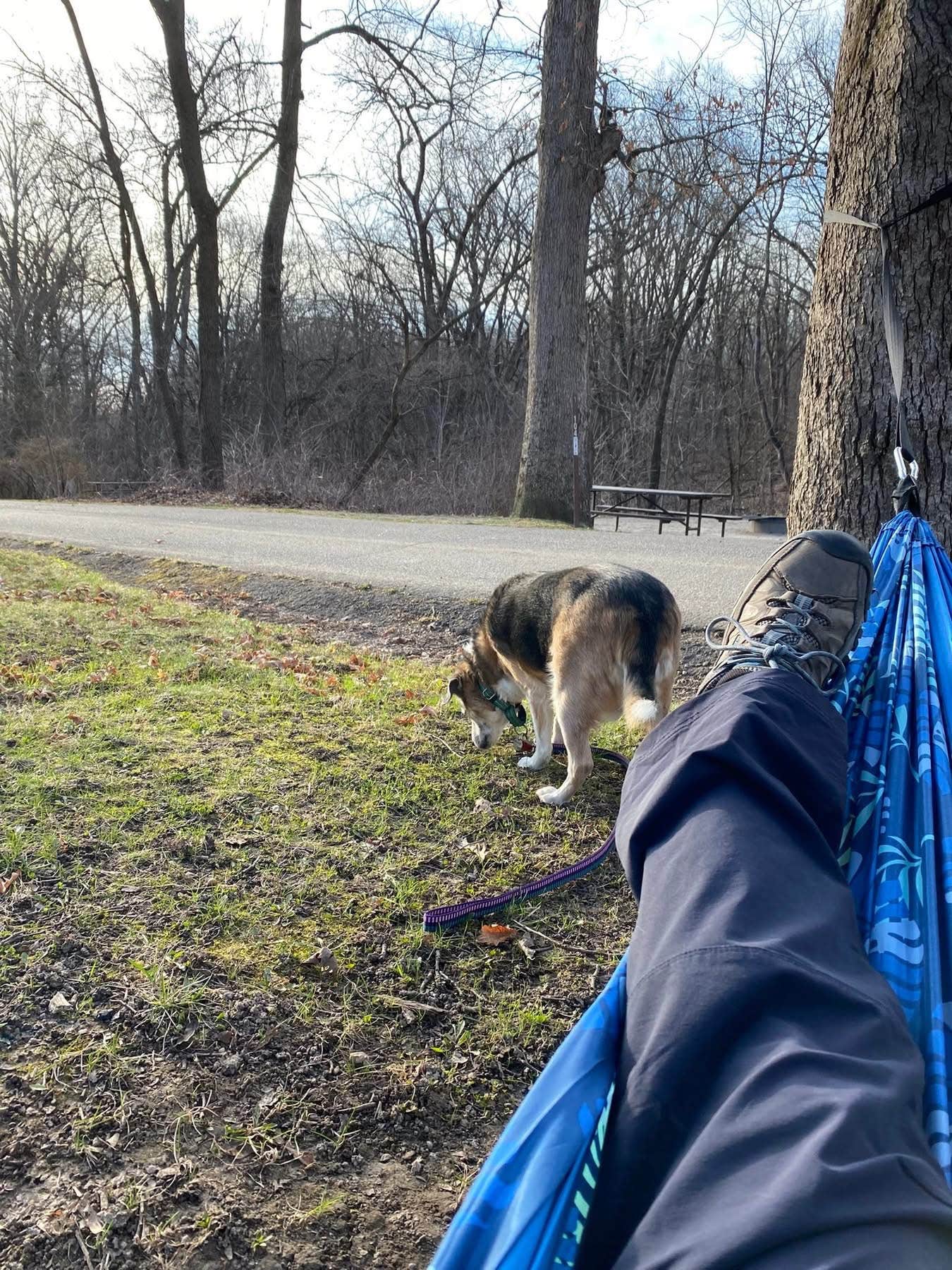Kay K.'s photo of camping with pets at Wisconsin Ridge Campground — Wyalusing State Park near Prairie du Chien, WI