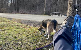 Kay K.'s photo of camping with pets at Wisconsin Ridge Campground — Wyalusing State Park near Colesburg, IA