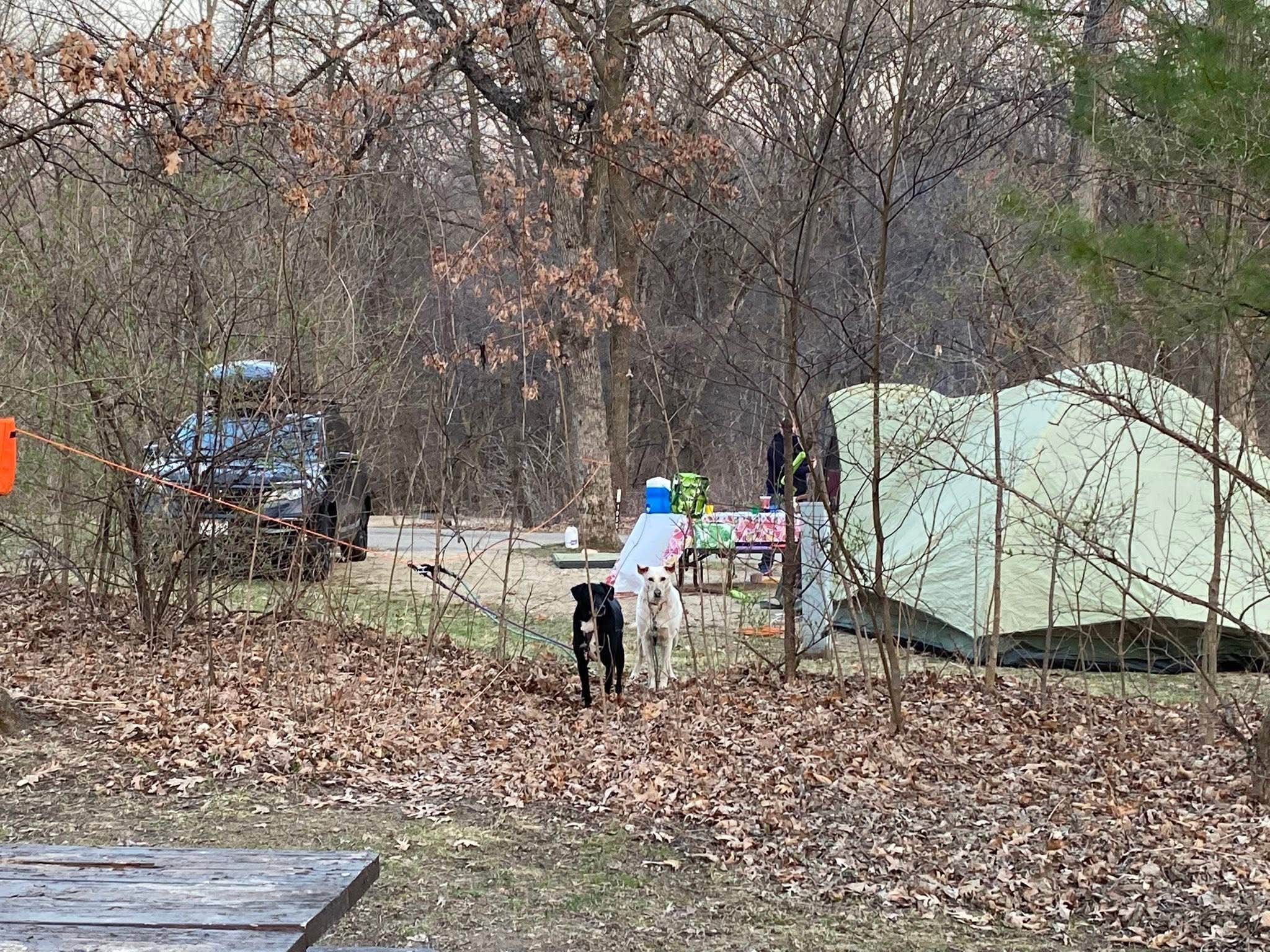 Kay K.'s photo of camping with pets at Wisconsin Ridge Campground — Wyalusing State Park near Colesburg, IA