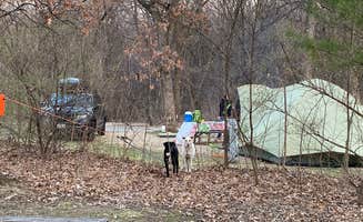Kay K.'s photo of camping with pets at Wyalusing State Park Campground near Prairie du Chien, WI