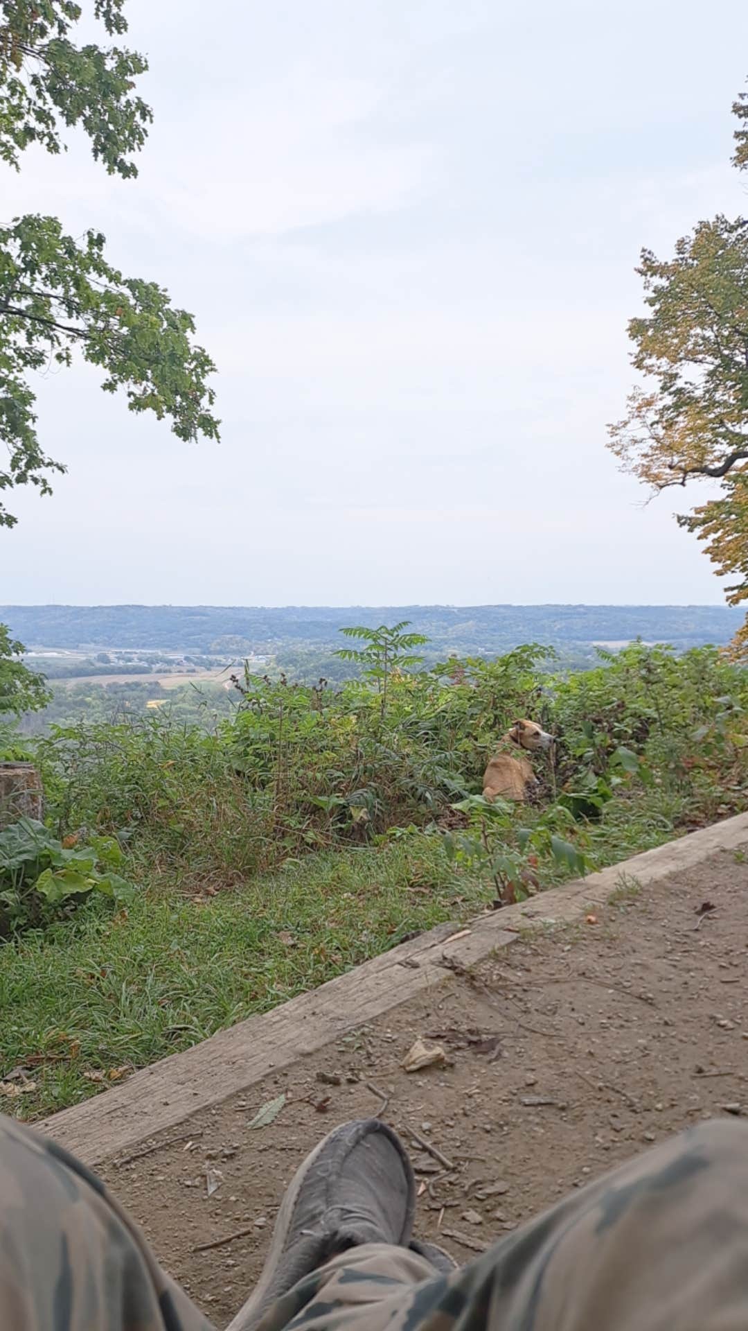 Brent B.'s photo of camping with pets at Wyalusing State Park Campground near Prairie du Chien, WI