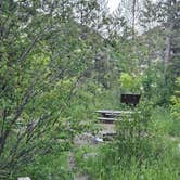 Review photo of Allred Flat by Todd J., June 23, 2026