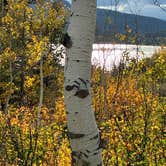 Review photo of Atherton Creek Campground by Scott C., September 21, 2026