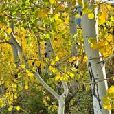 Review photo of Atherton Creek Campground by Scott C., September 21, 2026
