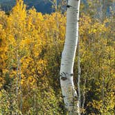 Review photo of Atherton Creek Campground by Scott C., September 21, 2026