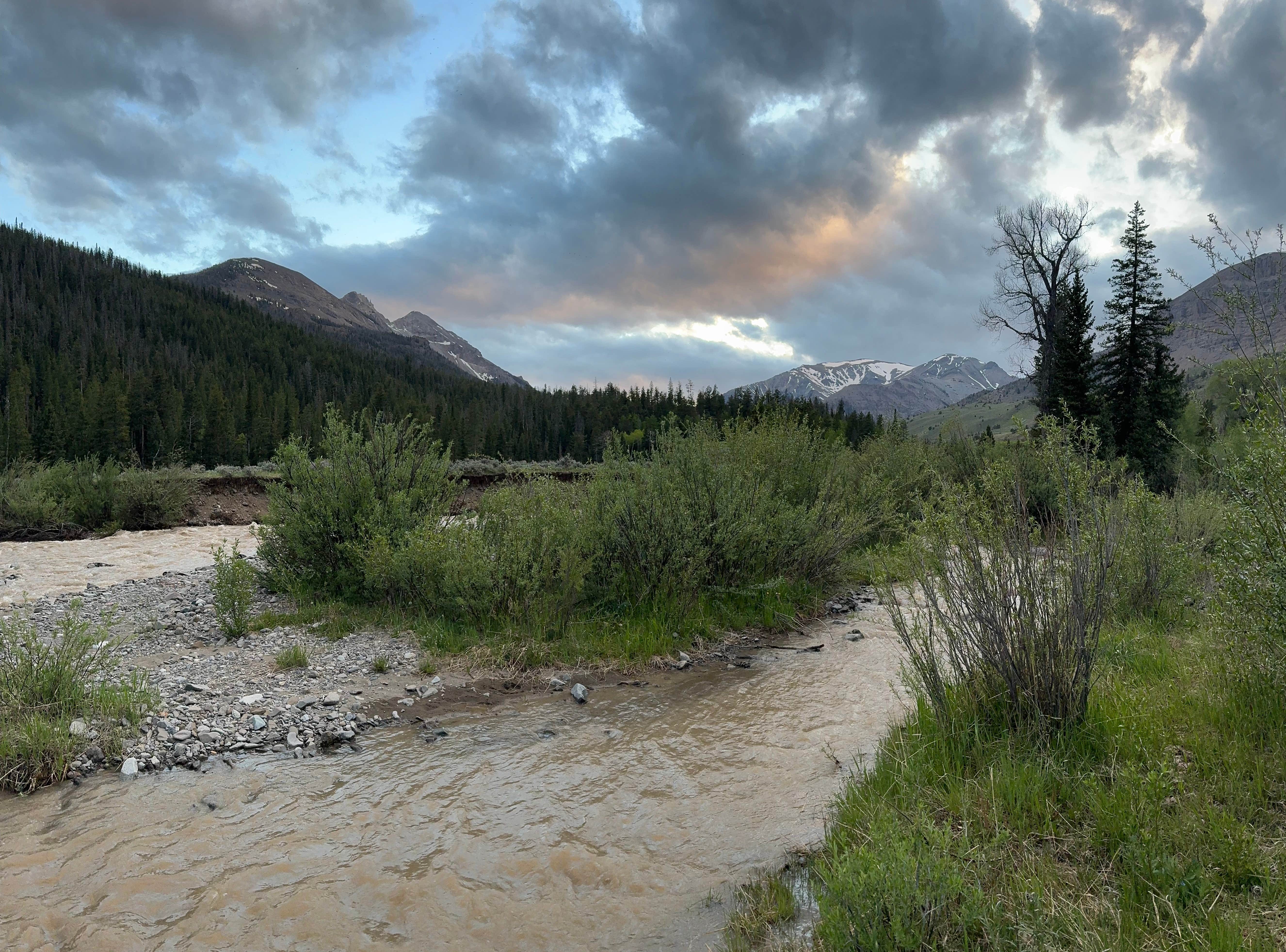 Camper-submitted photo at Brown Mountain near Meeteetse, WY