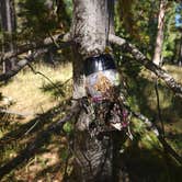 Review photo of Beartrap Meadow County Park by Sue B., September 15, 2026