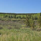 Review photo of Circle Park Campground by Milo D., June 14, 2025