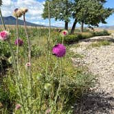 Review photo of Curtis Canyon Campground by Carl S., August 9, 2025
