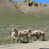Review photo of Curtis Canyon Campground by MATTHEW R., May 8, 2026