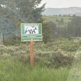 Review photo of Curtis Canyon Campground by Layla P., June 13, 2025