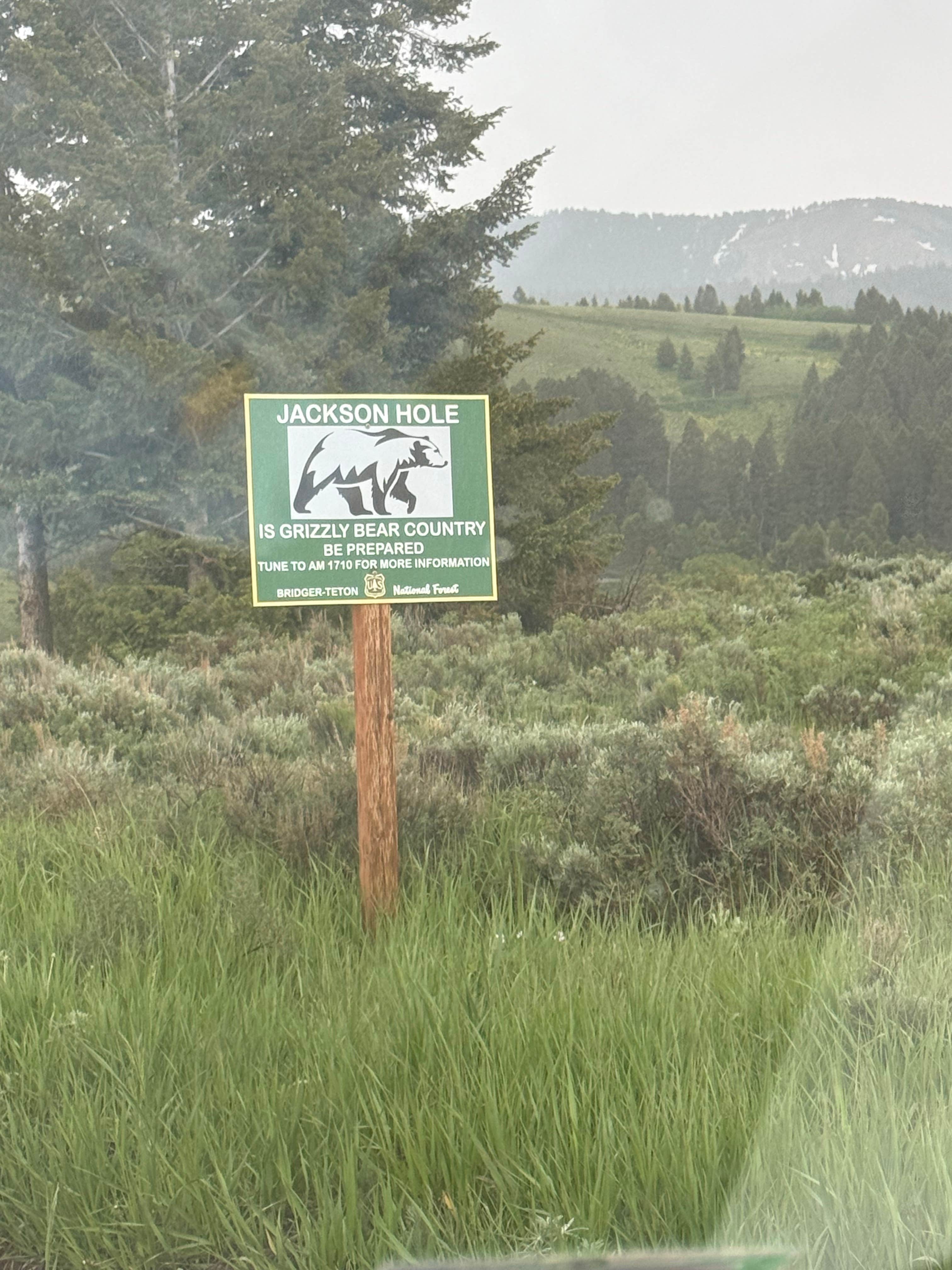 Camper submitted image from Curtis Canyon Campground - 5