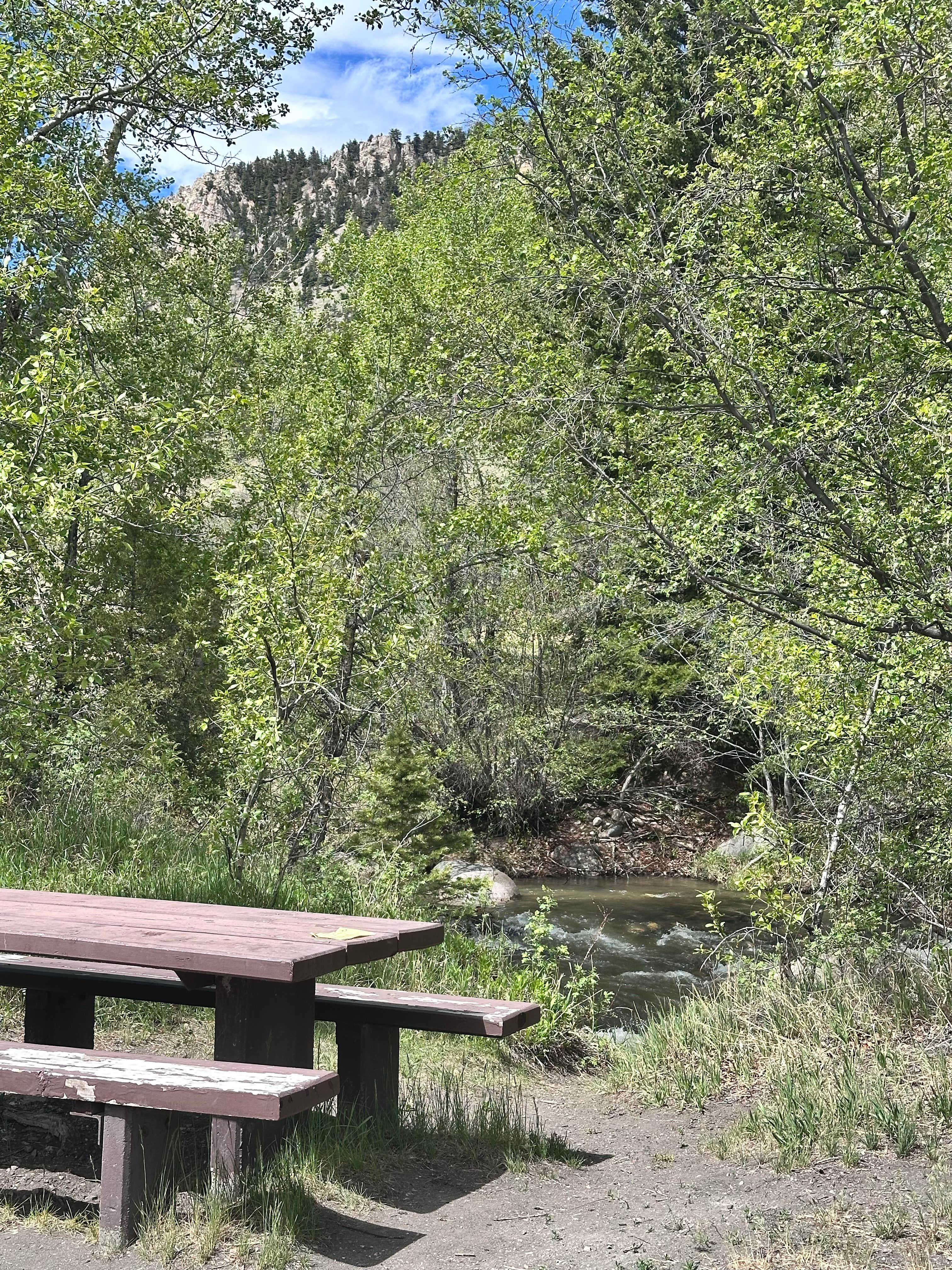 Camper-submitted photo at Dead Indian Campground near Wapiti, WY