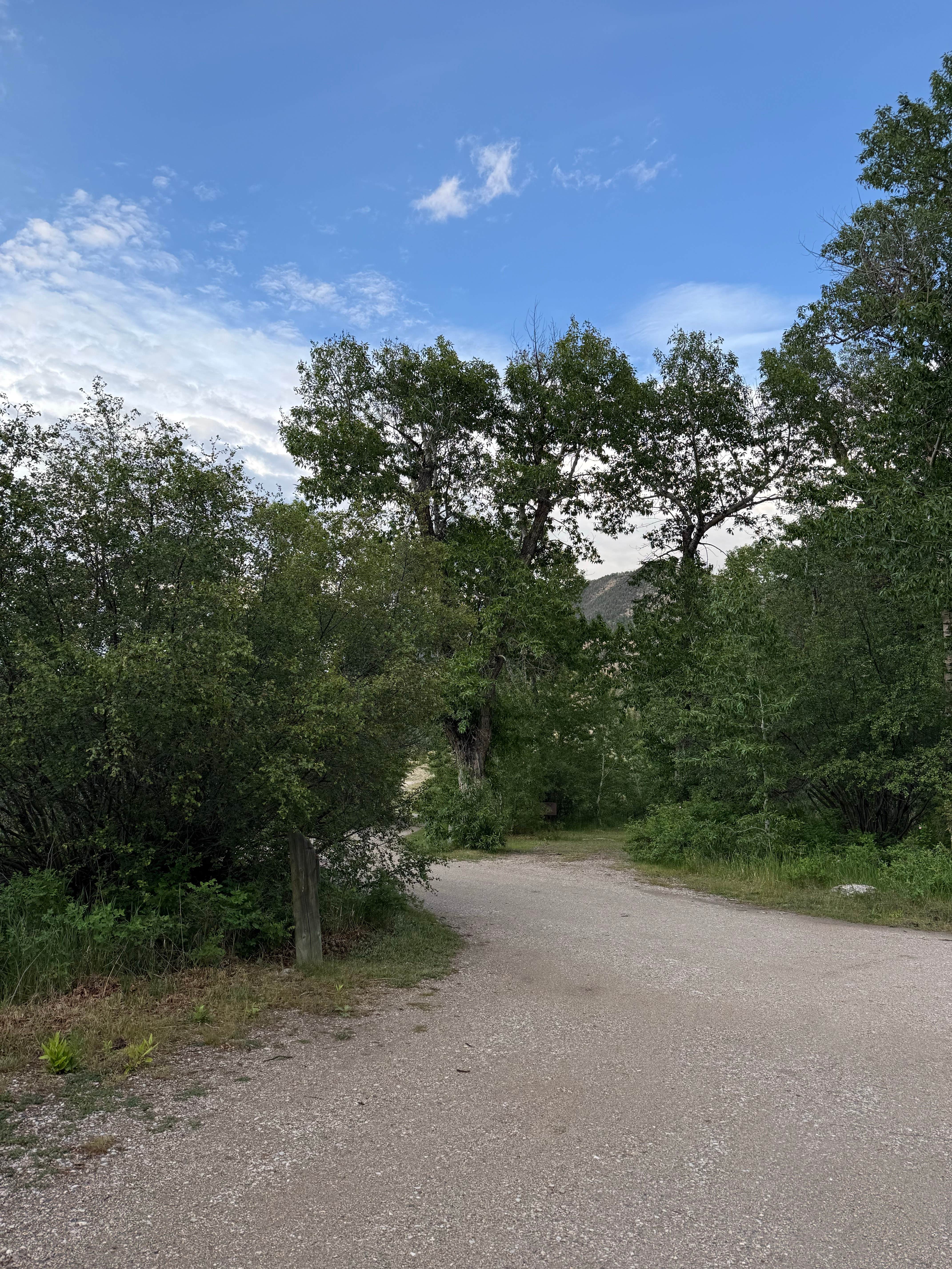 Camper-submitted photo at Dead Indian Campground near Silver Gate, MT