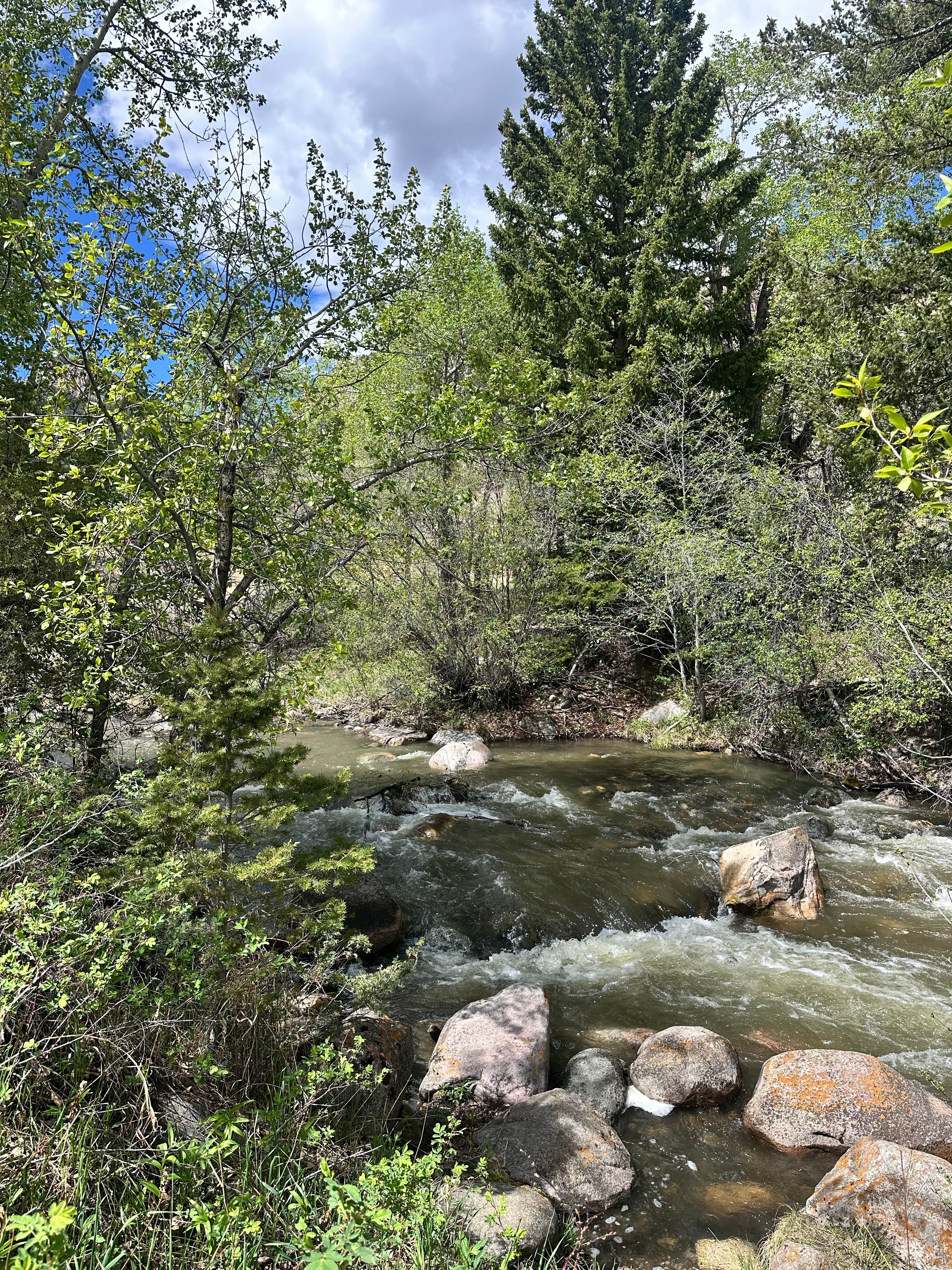 Camper-submitted photo at Dead Indian Campground near Wapiti, WY