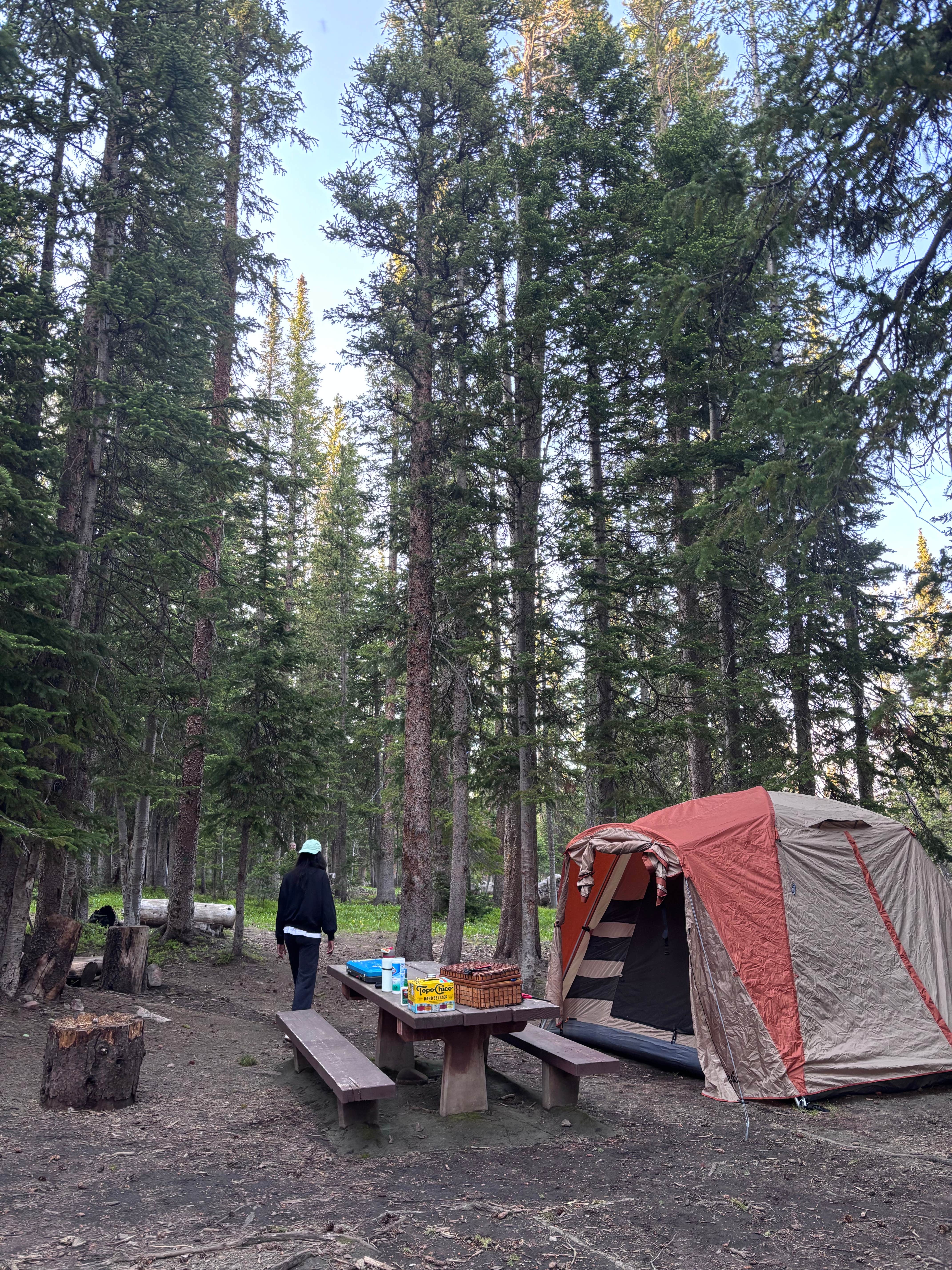 Camper-submitted photo at Deep Creek Campground near Medicine Bow-Routt NFs & Thunder Basin NG