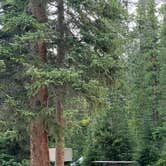 Review photo of Falls Campground by Vyte A., June 17, 2025