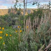 Review photo of Fremont Lake by Sabrina W., June 29, 2026