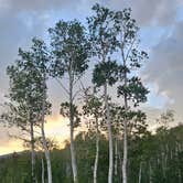 Review photo of Fremont Lake by Sabrina W., June 29, 2026