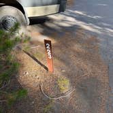Review photo of Grant Village Campground — Yellowstone National Park by Erich B., August 27, 2026