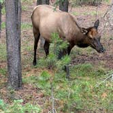 Review photo of Grant Village Campground — Yellowstone National Park by Erich B., August 27, 2026