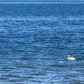 Review photo of Grayrocks Reservoir Public Access by Kyle G., June 15, 2025