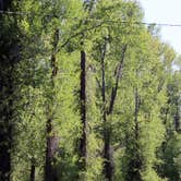 Review photo of Gros Ventre Campground — Grand Teton National Park by Finn S., August 31, 2026
