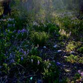 Review photo of Gros Ventre Campground — Grand Teton National Park by Tom H., June 27, 2024