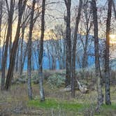 Review photo of Gros Ventre Campground — Grand Teton National Park by Barbara L., May 13, 2024