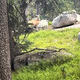 Review photo of Island Lake Campground by Ben R., August 11, 2025