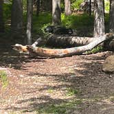 Review photo of Island Lake Campground by Ben R., August 11, 2025