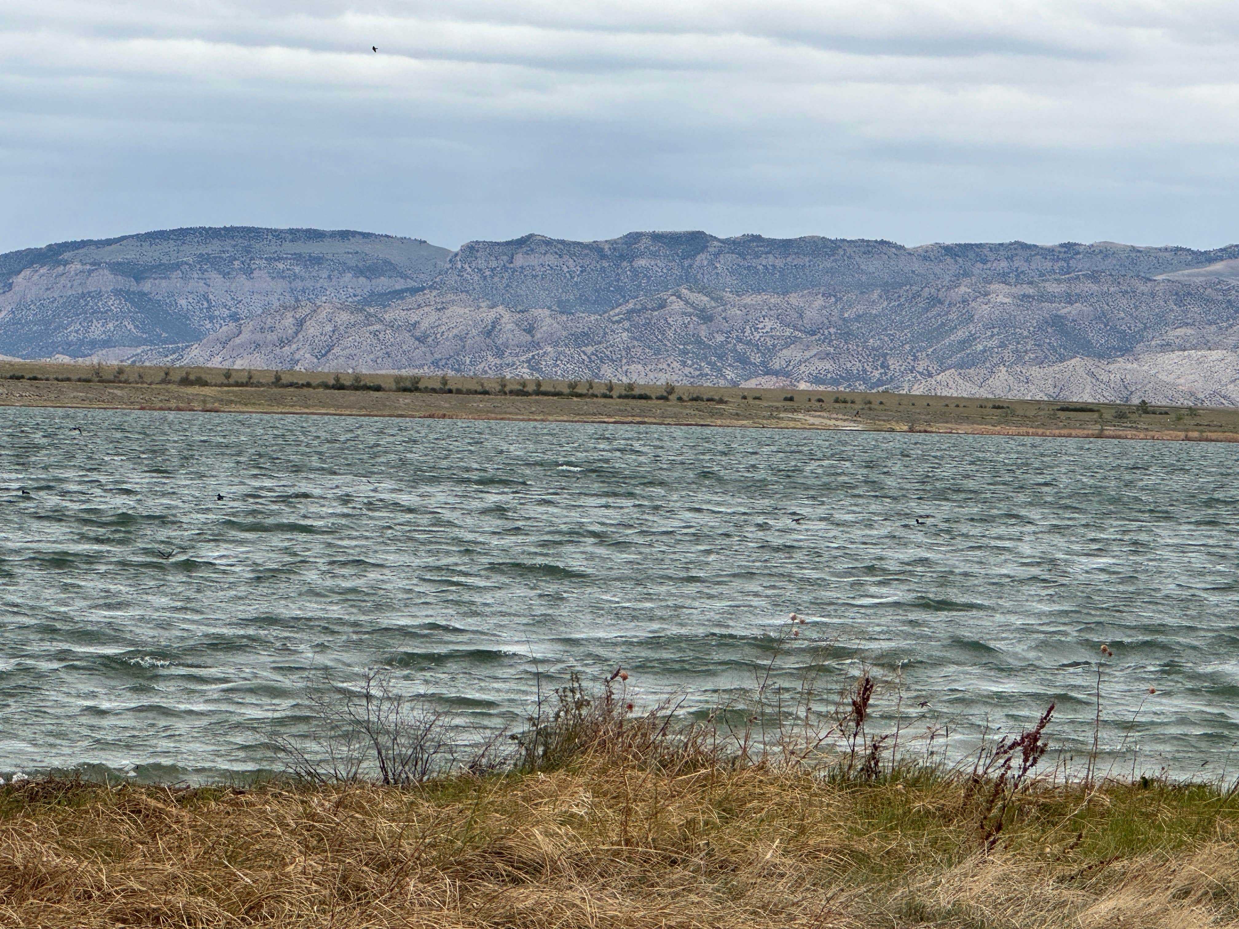 Camper-submitted photo at Lake Cameahwait near Riverton, WY