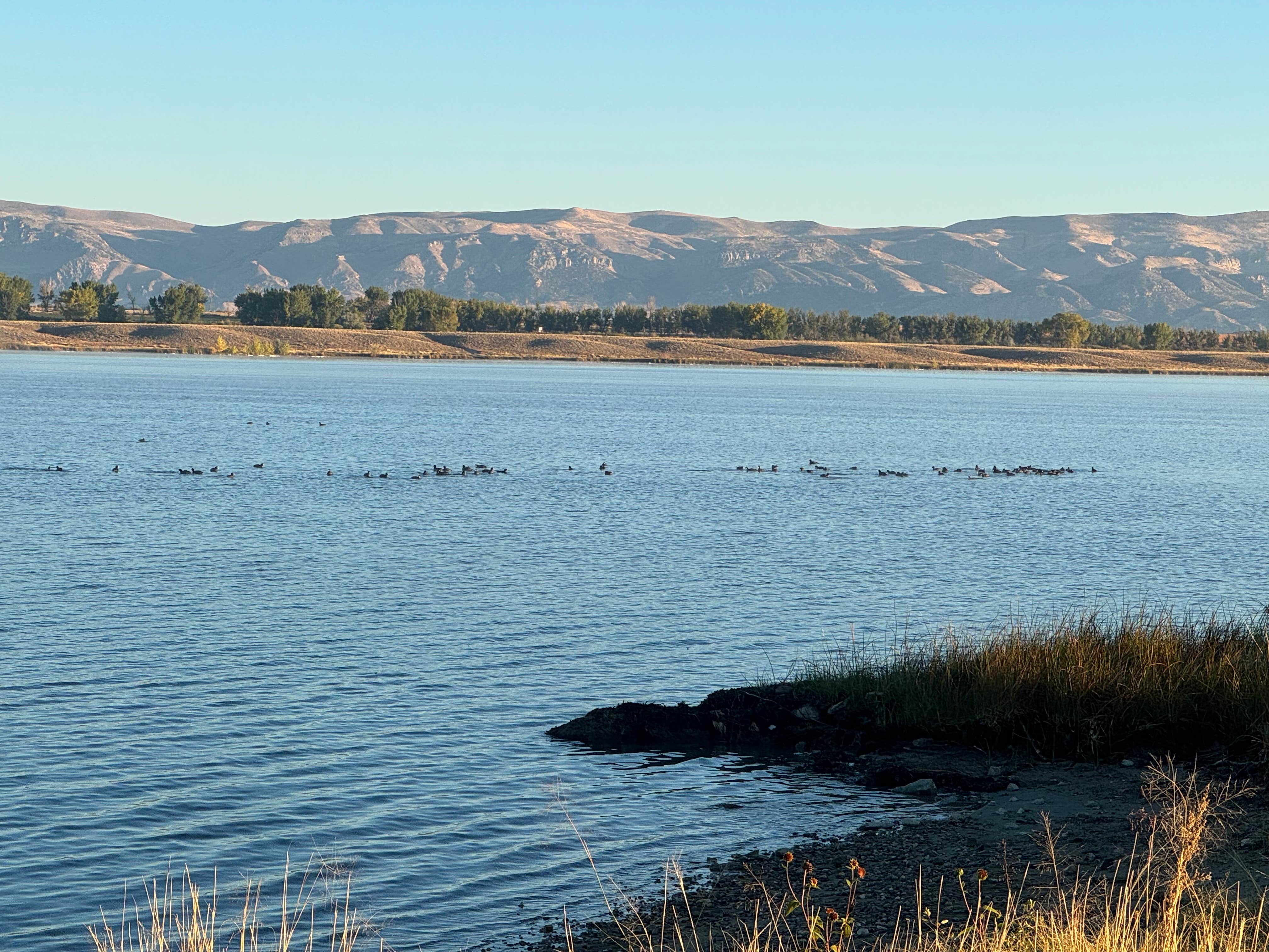 Camper-submitted photo at Lake Cameahwait near Riverton, WY