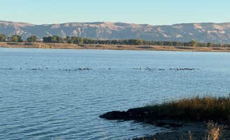 Michael R.'s photo of a dispersed camping area at Lake Cameahwait near Lysite, WY
