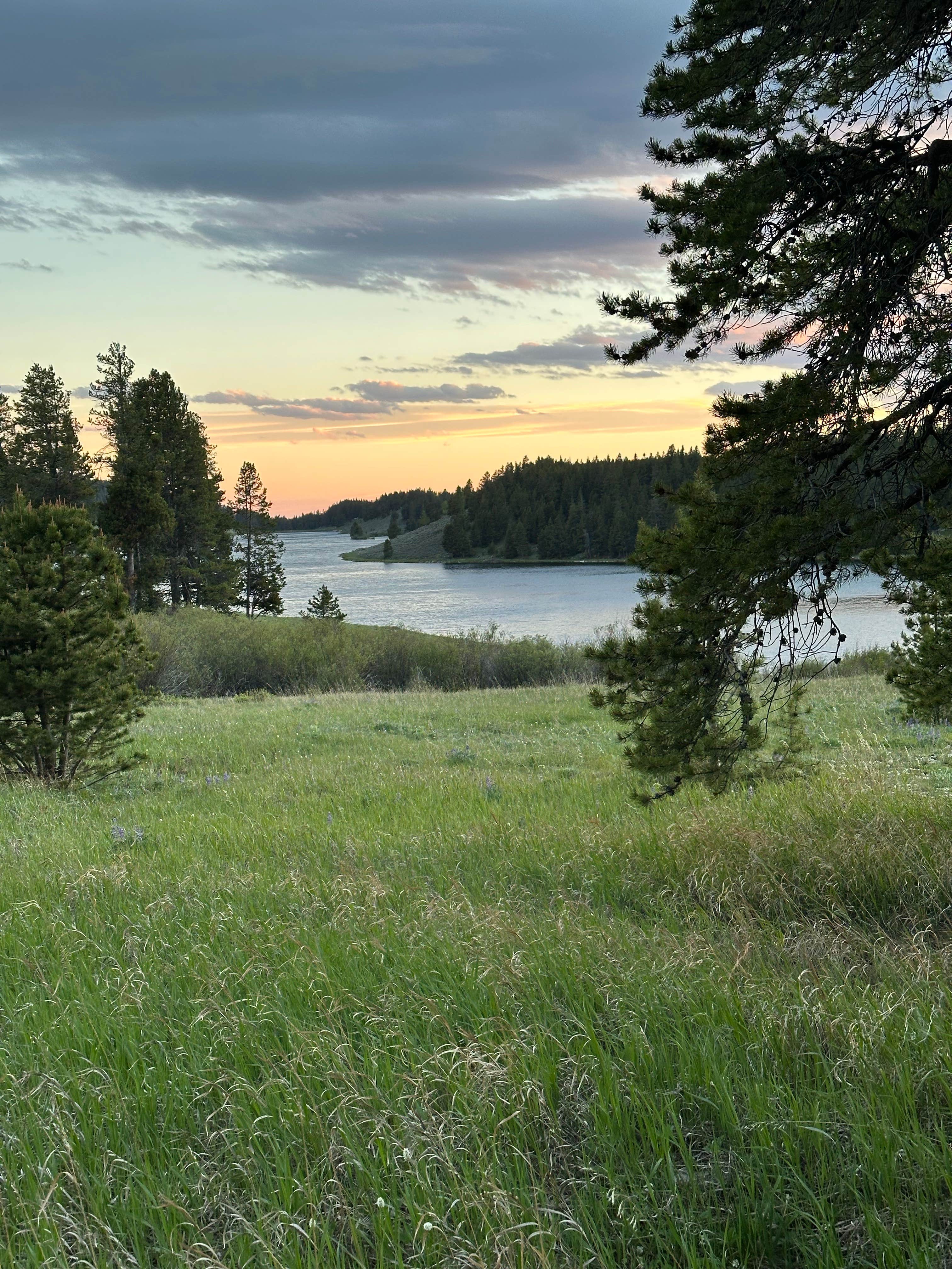 Camper-submitted photo at Lakeview Campground near Bighorn National Forest